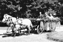 3 Horne Husmandsforening 1963 Kassevogn med høstlad