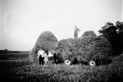 6 Kornet sættes i hæsse - Kirkevad 1952