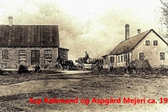 4-Asp-Koebmand-og-Aspgaard-Mejeri-ca.-1900