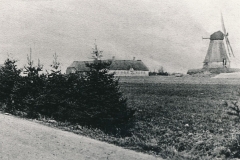 Bjalderup-Mølle-1900