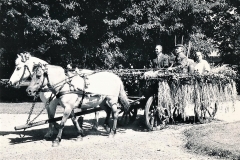 Horne Husmandsforenings vogn ved Horne I.F.s sportsfest 1963