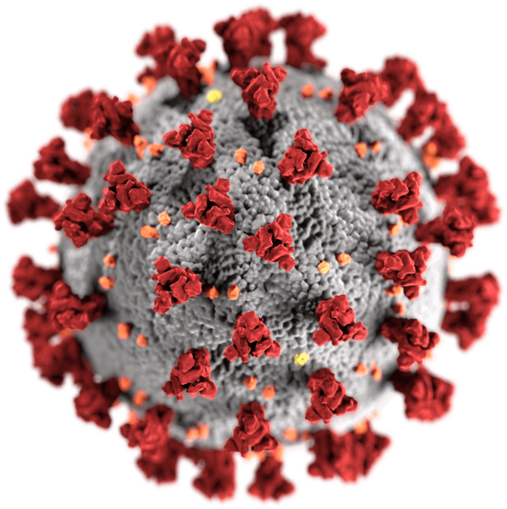 Dette billede har en tom ALT-egenskab (billedbeskrivelse). Filnavnet er Corona-virus-1020x1024.png